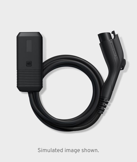 GM Dual Level Charger